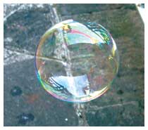 <strong>Transparente...</strong>